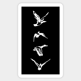 Birds Flying Sticker